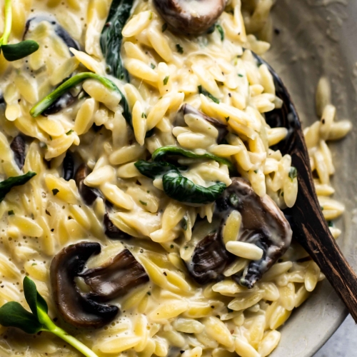 Creamy mushroom orzo in a plate with spoon
